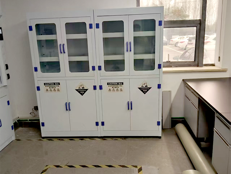 new energy laboratory case