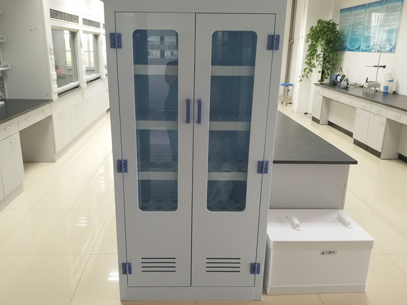 1772264254489161.jpg Laboratory Storage Cabinet