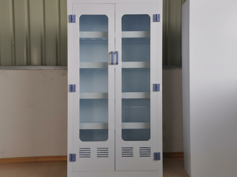 Laboratory Storage Cabinet Heavy Duty Organization Johannesburg Medical Centers